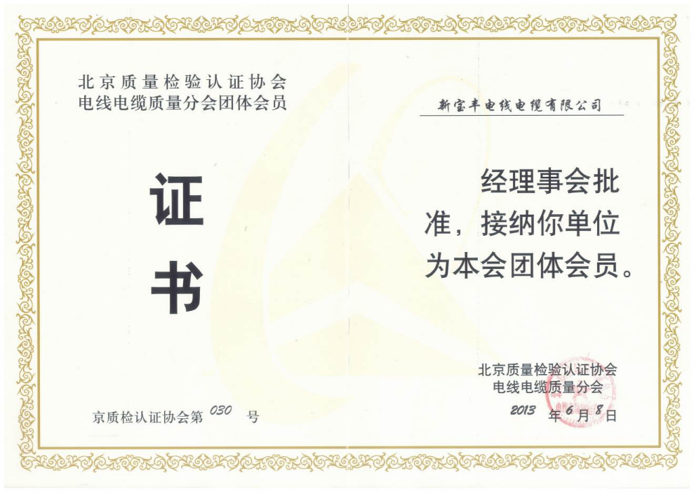Certification Association Certificate